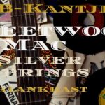 Fleetwood- Mac Silver Springs Fleetwood Mac Silver Springs- og